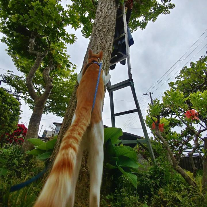 3d8fabd7 33ae 4785 ba84 a2092aadc80f 1525248848719