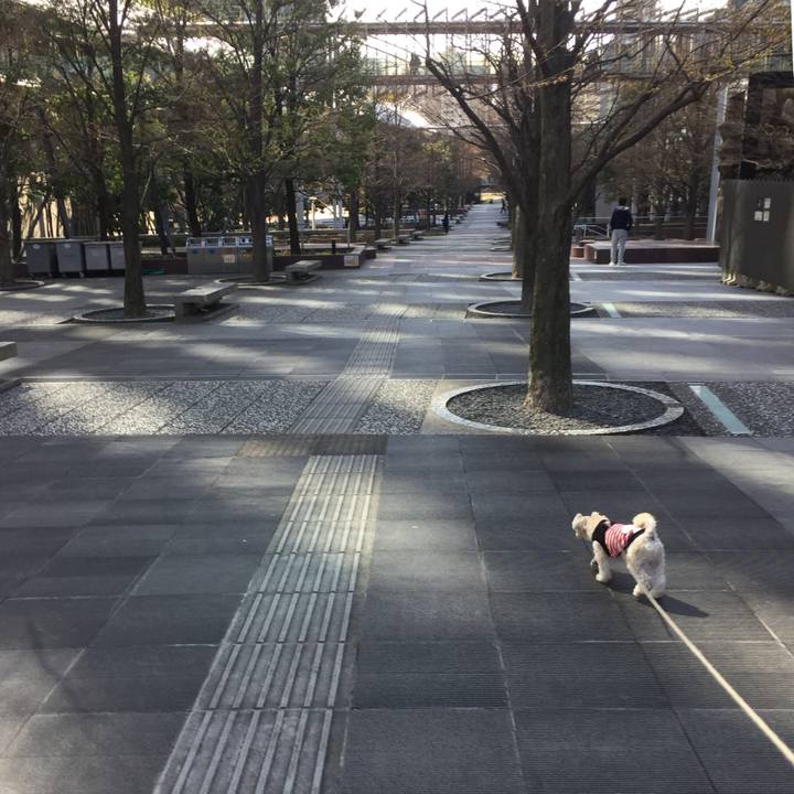 3d8fb899 34fd 45f7 9eb3 818b3eac1ab1 1521283511662