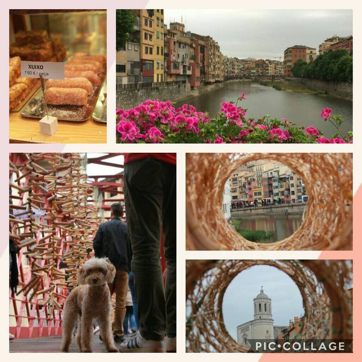 3d8fcaa4 8e2d 4503 a2bd 273c4f6087c2 1557779802922