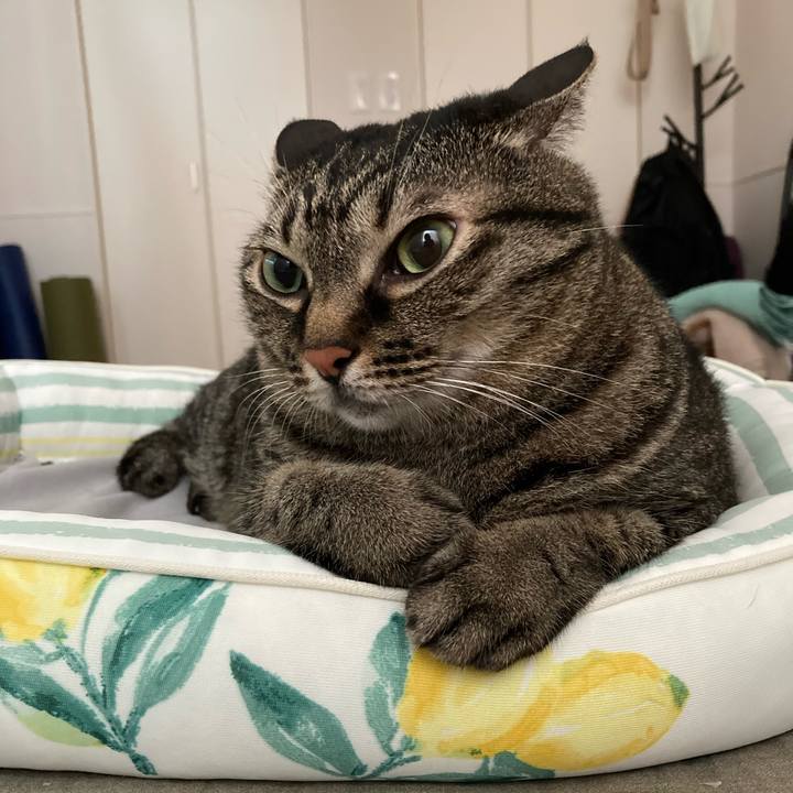 3d8fdc57 985f 4046 b53d d5b67379f0ab 1659426702572