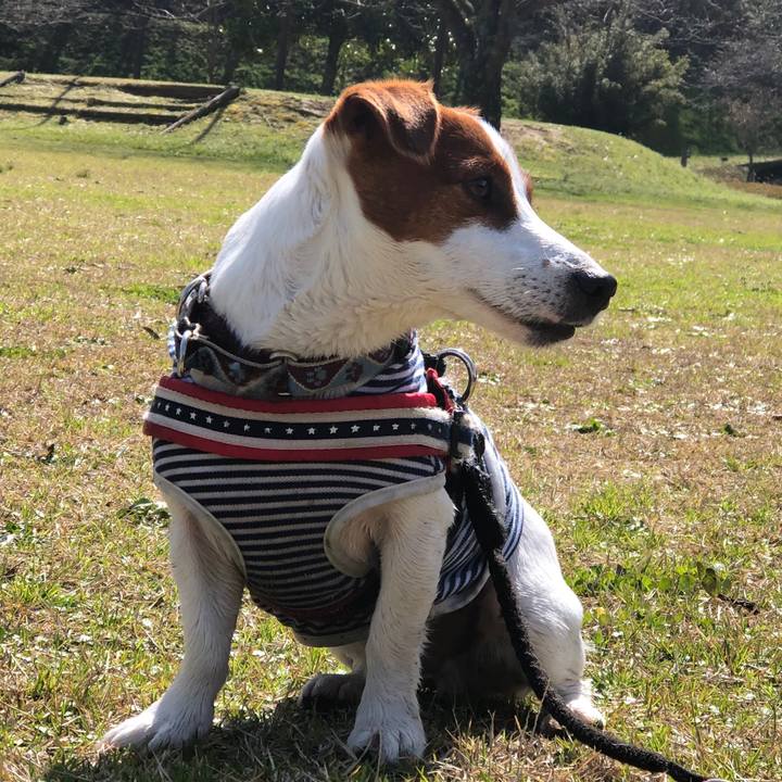 3d8ffc86 4b54 440f b2a1 ccdc8a8c4fdc 1553071706319