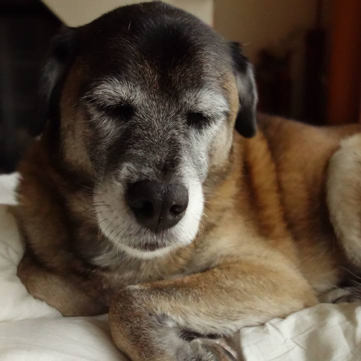 3d8ffdae 5721 4608 8414 21456db931c9 1512103329305