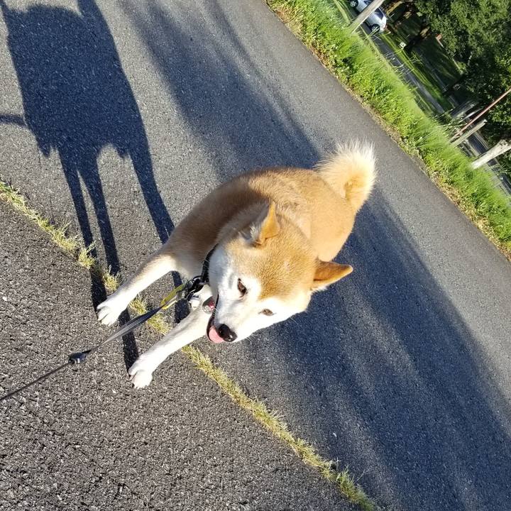 3d900fcb 2be8 4c3e ae85 54e2f6fe1bc2 1597737638312