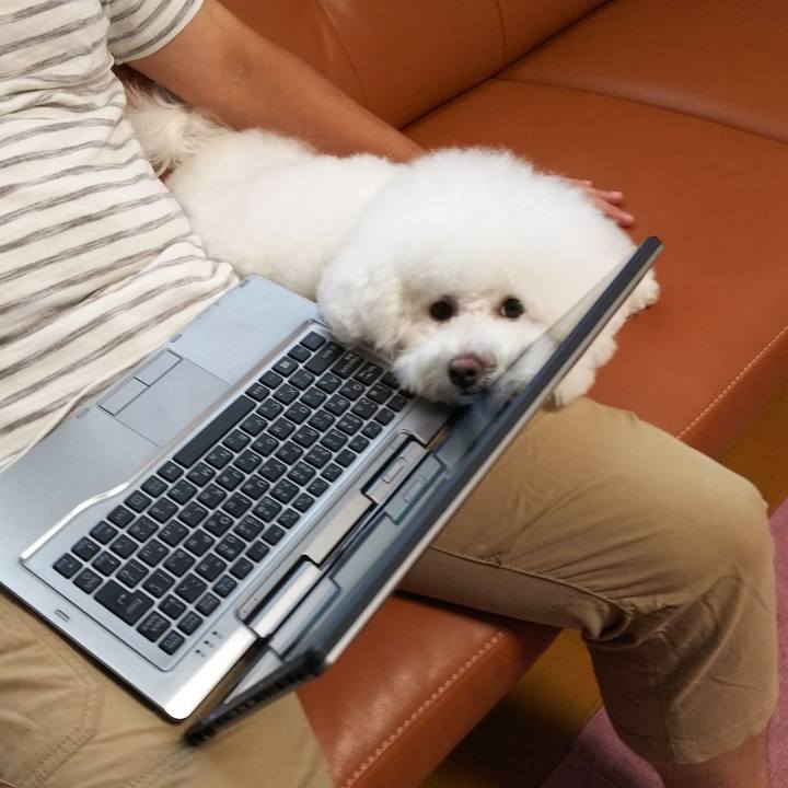 3d901a60 aee5 4e20 b391 663ee329cff6 1534162138780