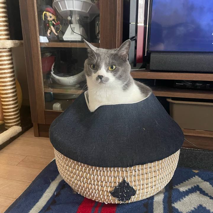 3d905a00 94f6 4211 b55e c440d9f47b9c 1680688375859