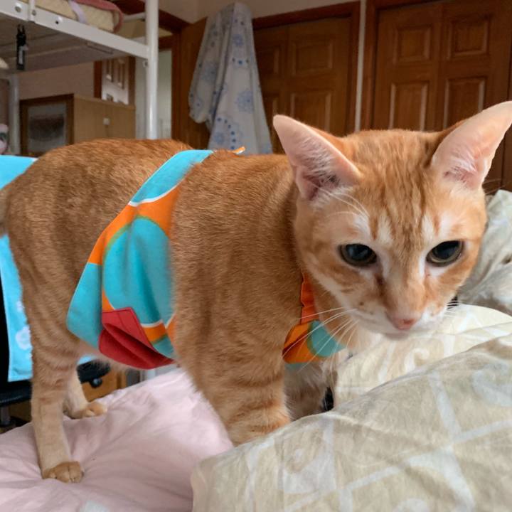 3d90734d 38c0 4ff1 b0d8 0272eb57101c 1561323272224