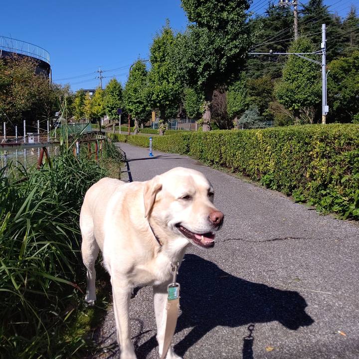 3d908776 18da 4778 9ef0 b13ac25940ec 1666228086871