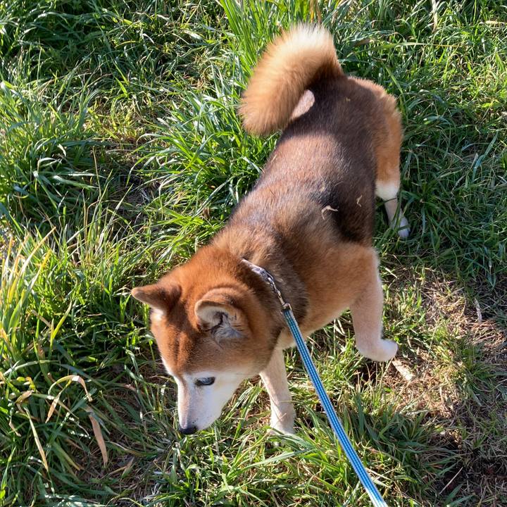 3d909c46 1f82 41d3 a98d 167b33de72f1 1741567654563