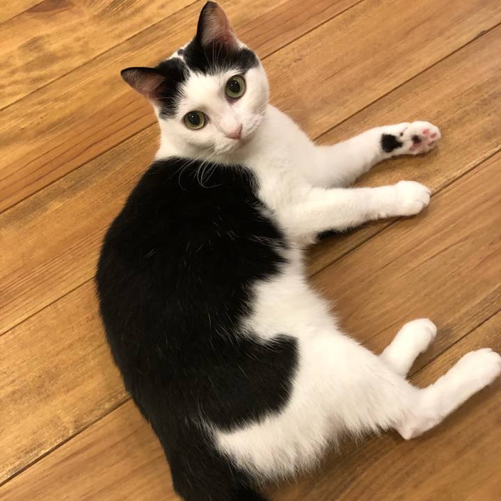 3d909d03 a8ec 4454 a789 4876e2af5407 1594036218054