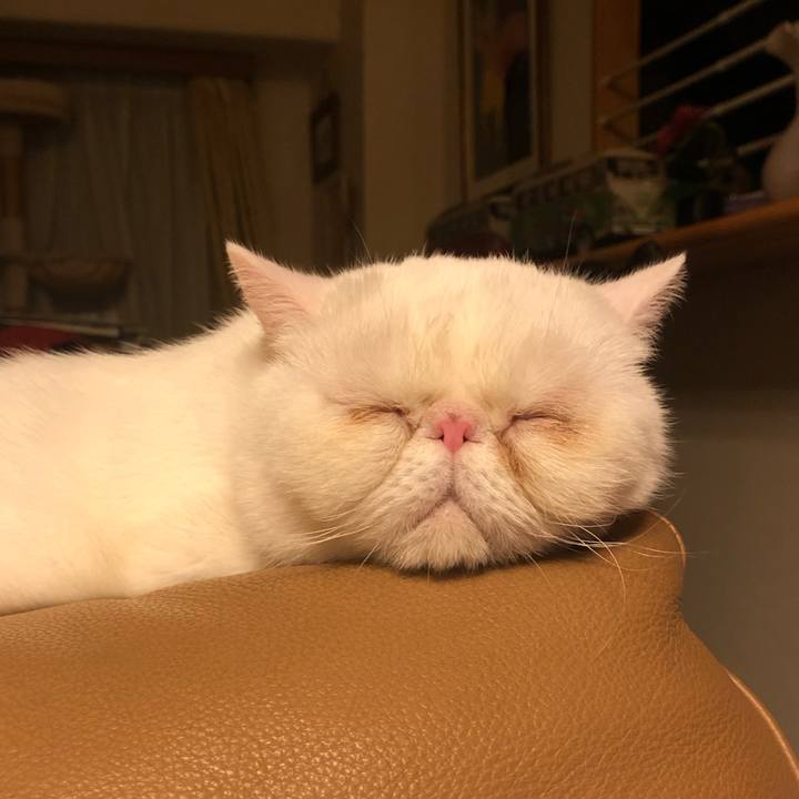 3d90a499 96e3 4acb bac6 491beaf4e4c6 1640431316730