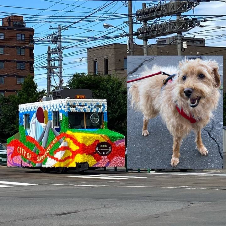 3d90ff2e d338 4f04 b5a8 10bbd773808e 1660476192829