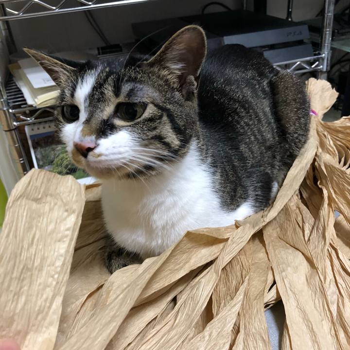 3d9162aa 0ad7 44e4 a8a8 40df81d9192c 1527695561593