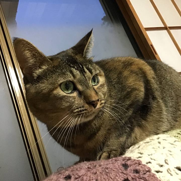 3d917801 51c6 418e a5a9 e8efd0331bdd 1696758851505