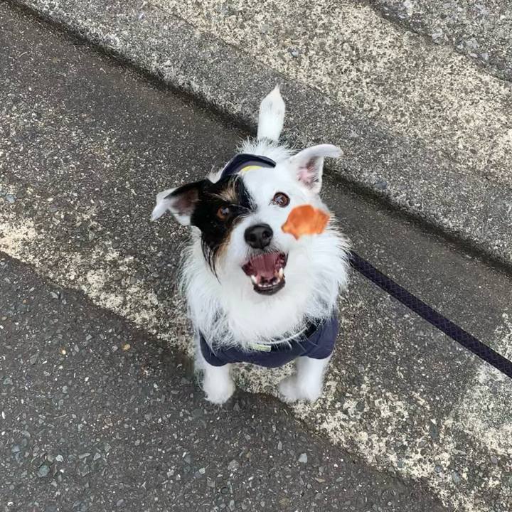 3d918067 b87b 415a a03a 9204f62113b8 1682209409268