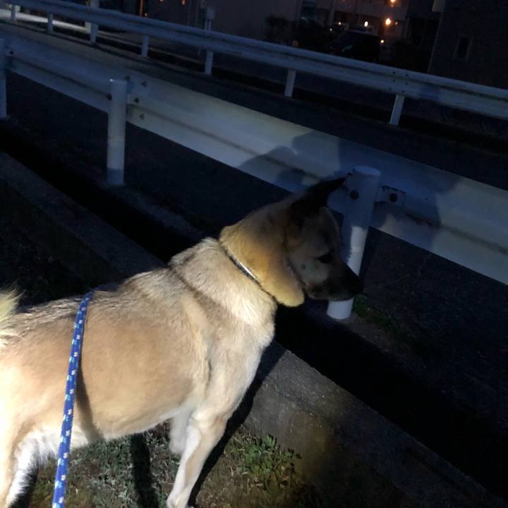 3d919e5e 8be3 4310 be1b 4109b98e734c 1615809796809