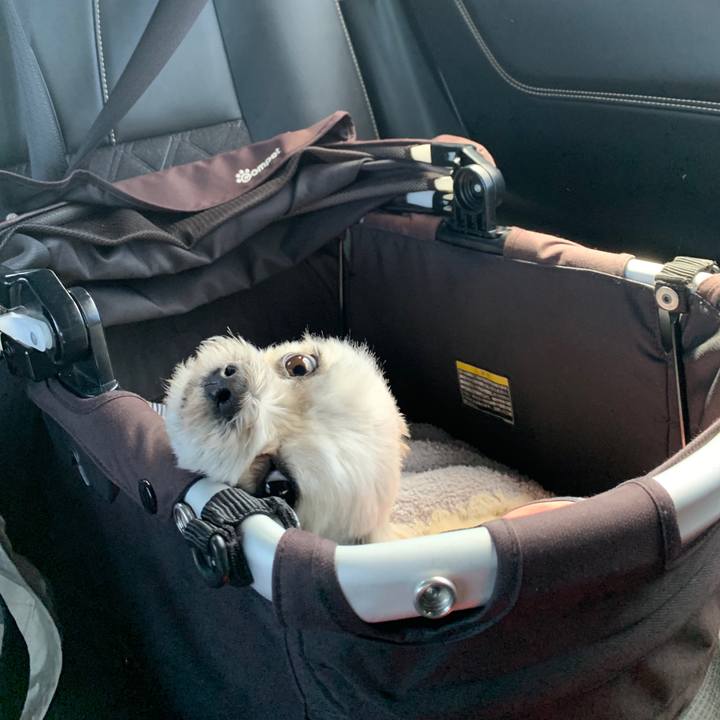 3d91eb1f 07a5 40ef 94c0 90a7f1378961 1556454513192