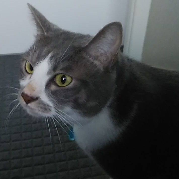 3d920022 aa61 4083 8cdc 4ed3e3dd6244 1633942859101