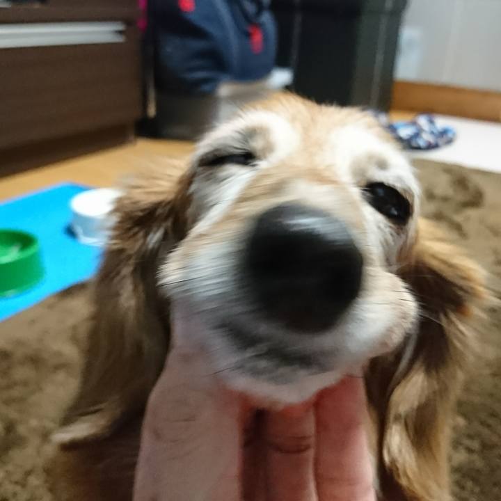 3d9284b2 b02f 46fa 804a dba6bc7d1a12 1513417210480