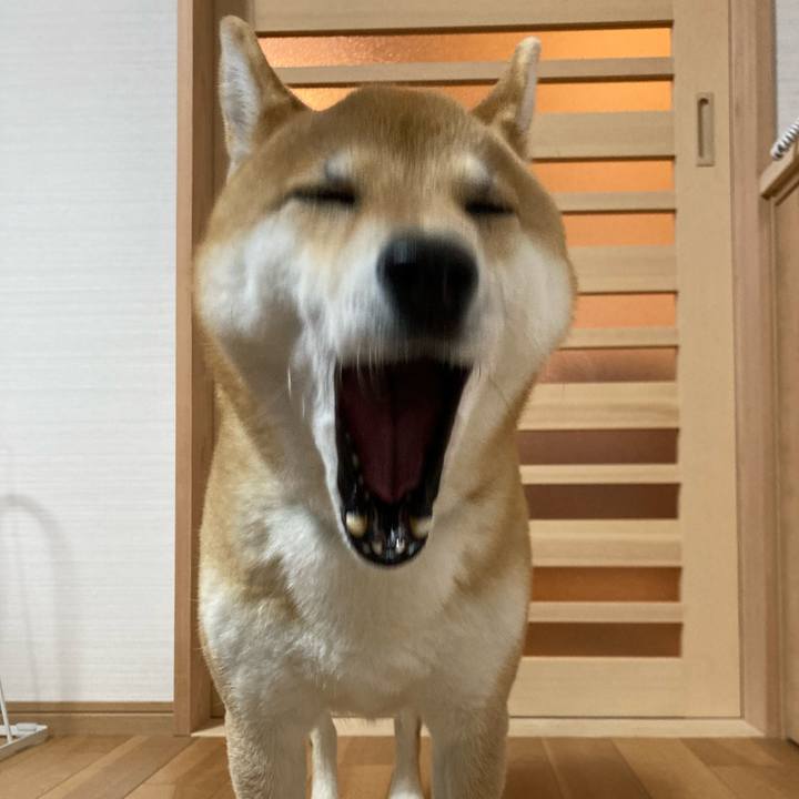 3d92882f 097a 4bcb 8748 bf25a2c4a943 1672488229198