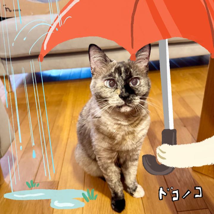 3d92a5fc b7b0 48f8 bbb2 2bbbabbecf60 1749562415223