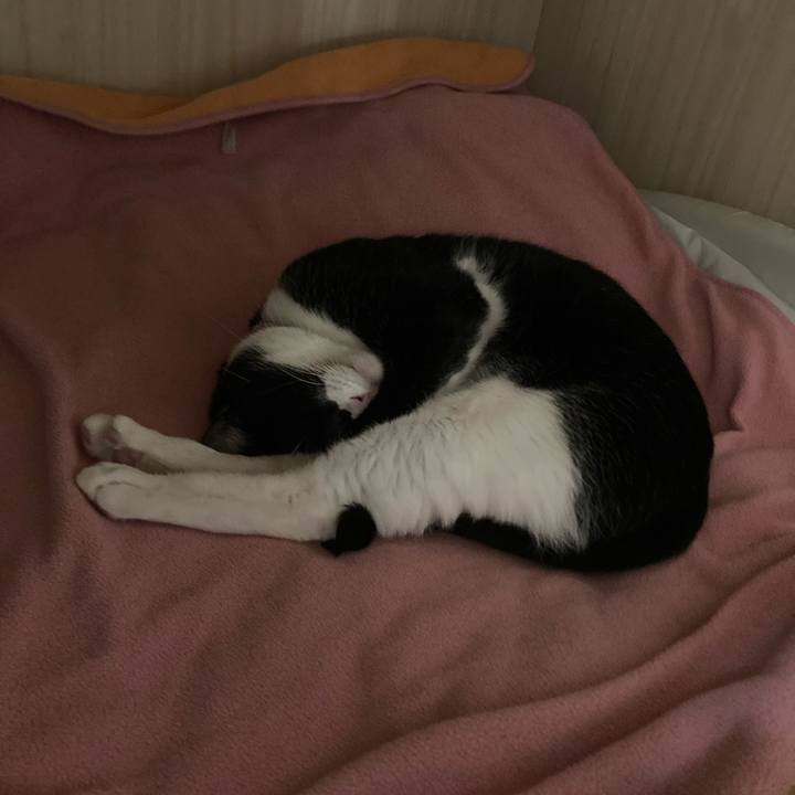 3d92c949 f485 41ed ab89 bbbd104e82b0 1640501443210