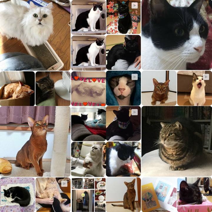 3d92de2c 6327 4458 b3d2 fb88634654fb 1572435533159