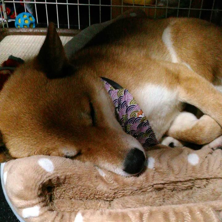 3d92e151 917e 477d b207 0be117d4631d 1516715619662