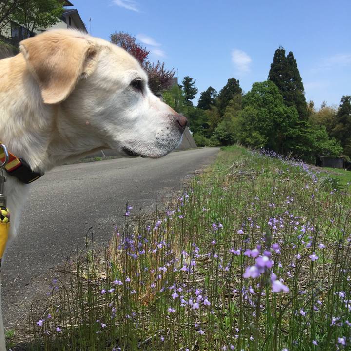 3d92e37b 35f8 4942 a983 22cad23d078f 1551784878082