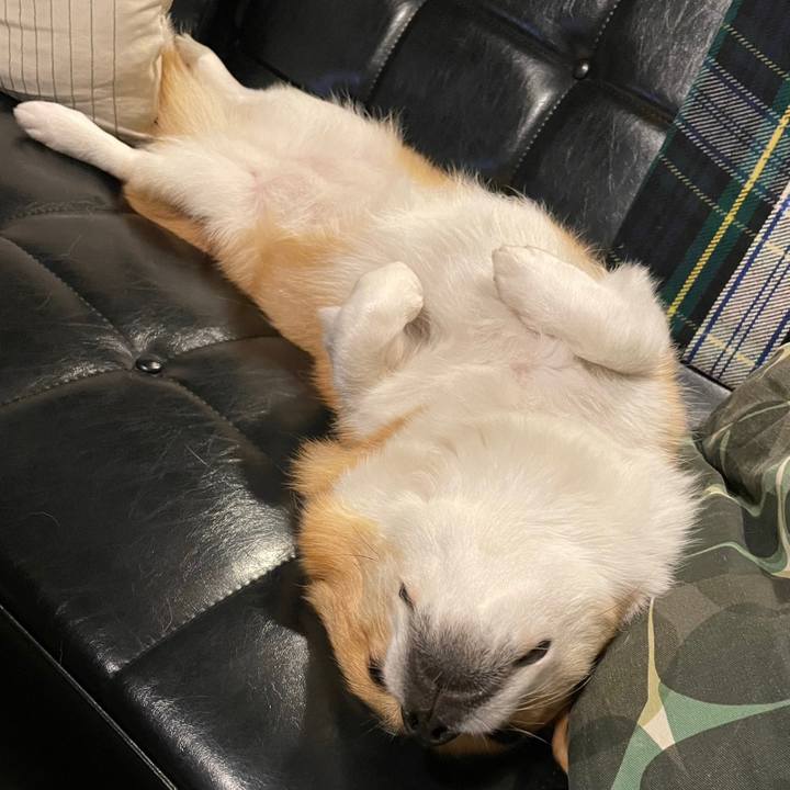 3d92e71f 5285 4dd5 a05c c6a6f2e2dbbb 1686569382346