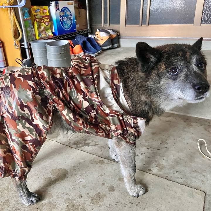 3d9337de 5b02 417e 9c42 73e9c0c822f9 1657842452021