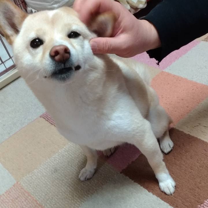 3d934505 96d3 4c4e bb45 b18cd05cff8b 1581805839418