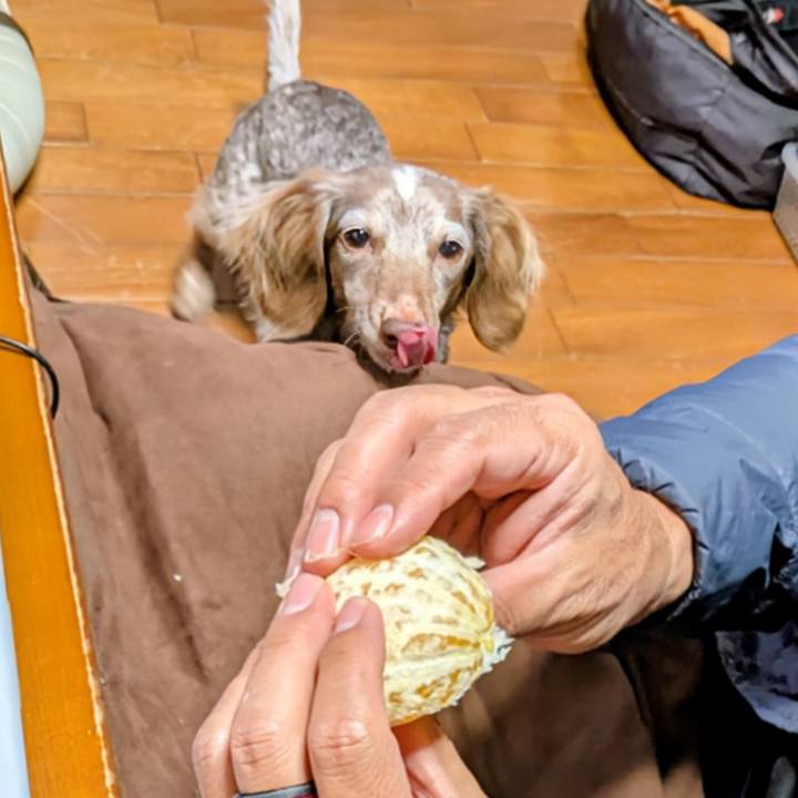 3d9350c7 fc2e 4474 897a 2476fa34af44 1771672630507