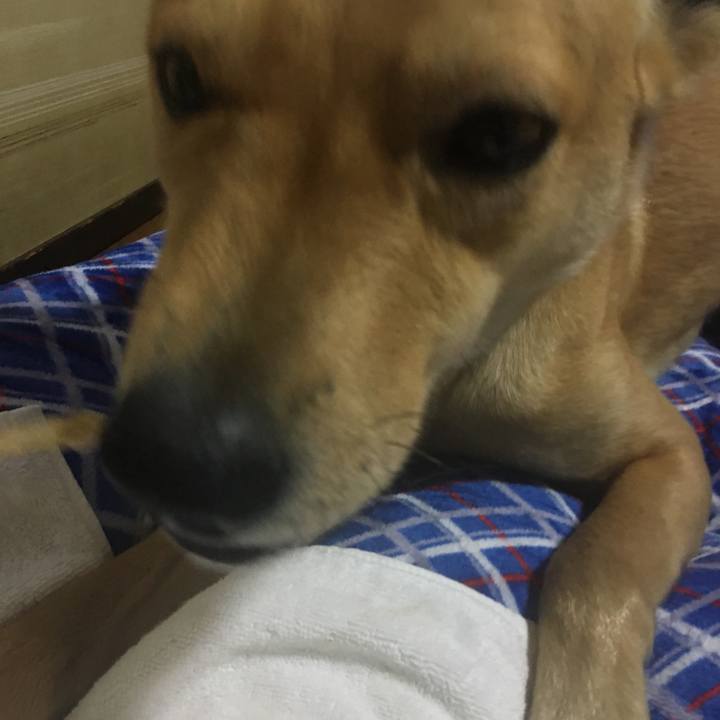 3d935668 5083 4587 b4e5 583b2a6fbb4c 1519126402527