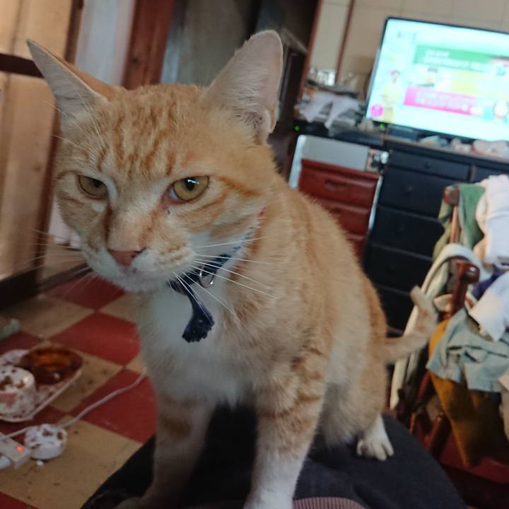 3d93793a cc84 4036 8974 f5ea211749ae 1560460635116