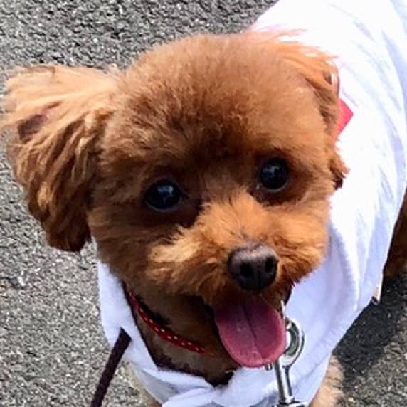 3d939cb7 7b8c 461a bfec 3e8725554eed 1559387545778