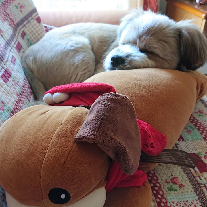 3d93e7c1 2053 4784 9641 b55969e7677a 1597378961976