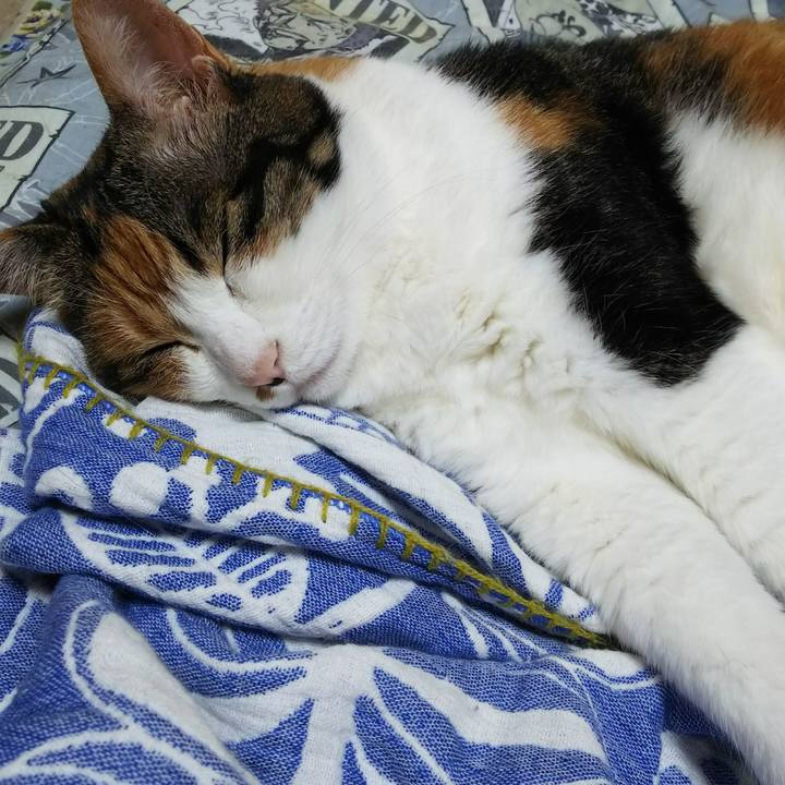 3d93f2bd e3e1 48a1 9135 68d735b2dcd8 1533452284071