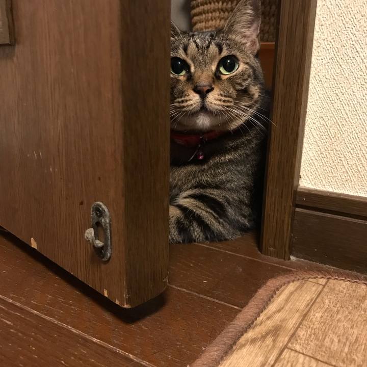 3d93fd4f 0bce 4e41 913f d5a54b918b4c 1538224908596