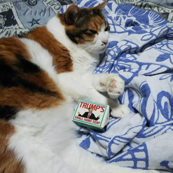 3d940a12 c1ad 4f5f ae73 d80e89ea21de 1530538048102