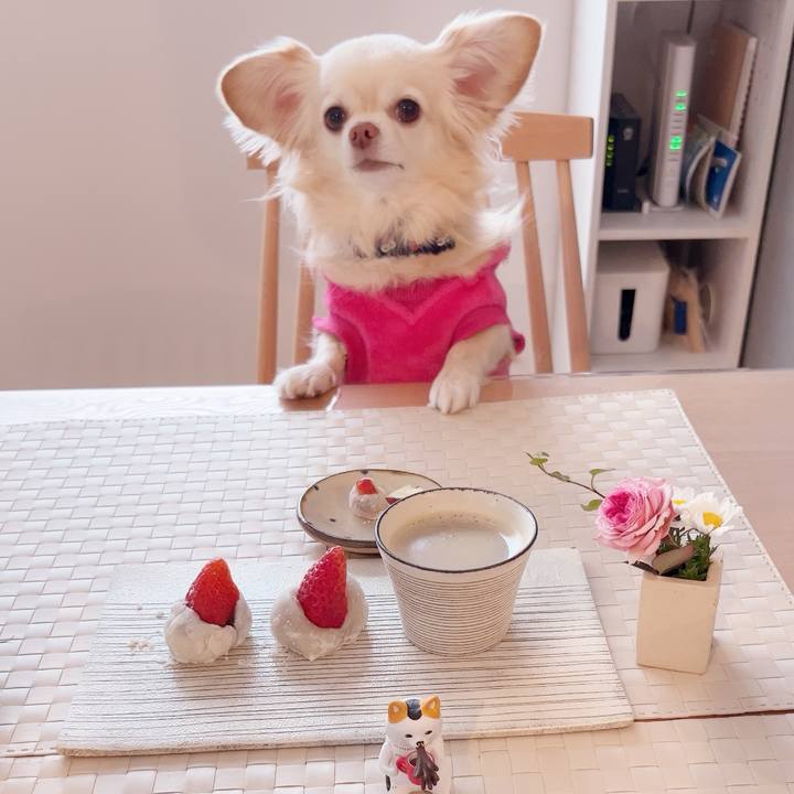 3d940a6d 45d6 4792 a21a be966c76ae91 1738675365748