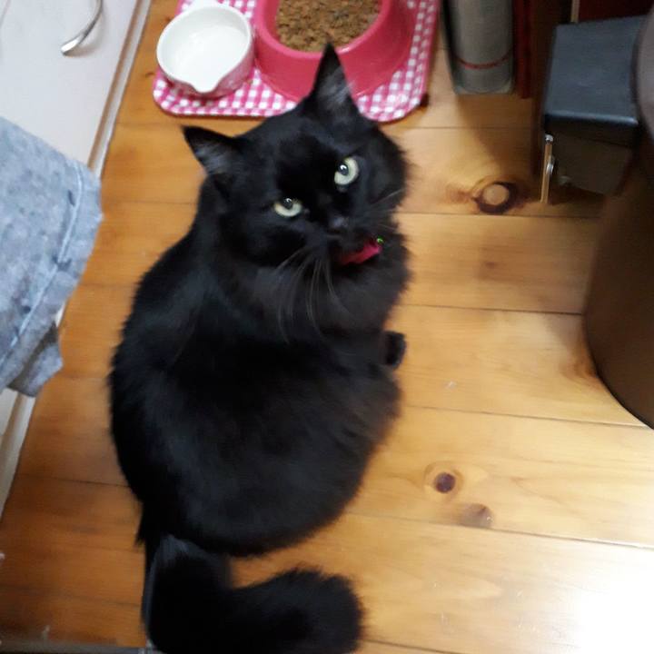 3d9437ea 624f 441e aca4 2132b64e0a98 1519287438983