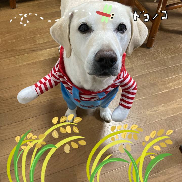 3d94795e ce07 4e69 ba17 103bde761802 1761923096339