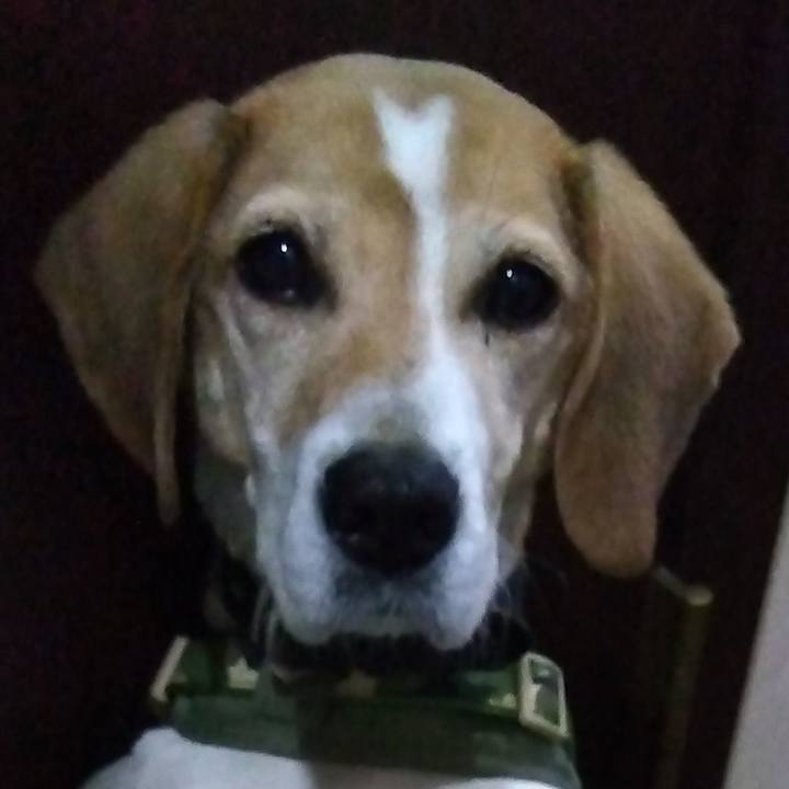 3d94a572 2ffb 40aa ba40 b1f0315c6192 1710768323502