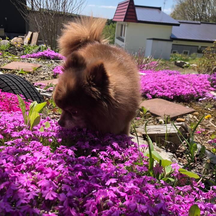 3d94c194 5a37 4cca a514 cb46d7954c94 1589431727712