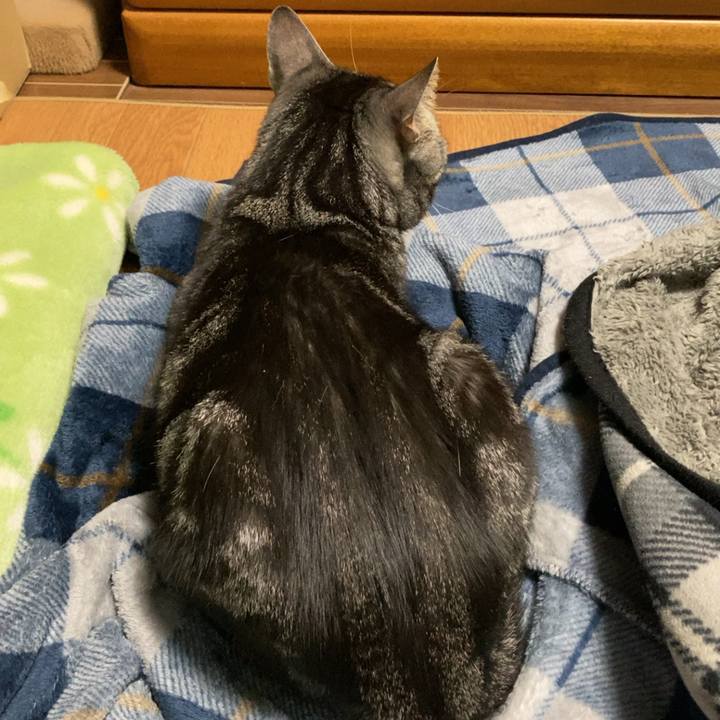 3d94f20c 379f 40e9 84da 9d0bc7e994c0 1637243682446