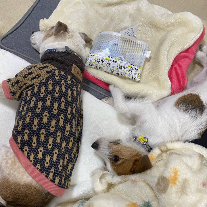 3d952945 963b 48ff a85f 452eb8ee328c 1672057363392