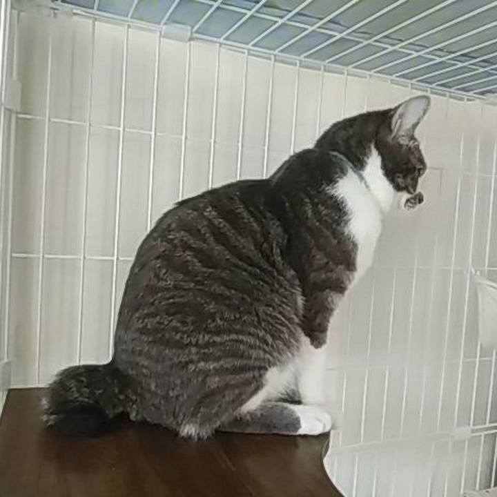 3d954ace a8bf 4d82 a4e7 78e93047411b 1587251431042