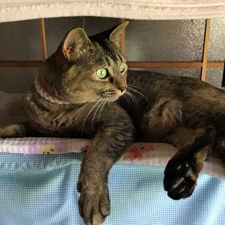 3d958afe 7c12 4afa b22d d1e4aca57daf 1657107182490