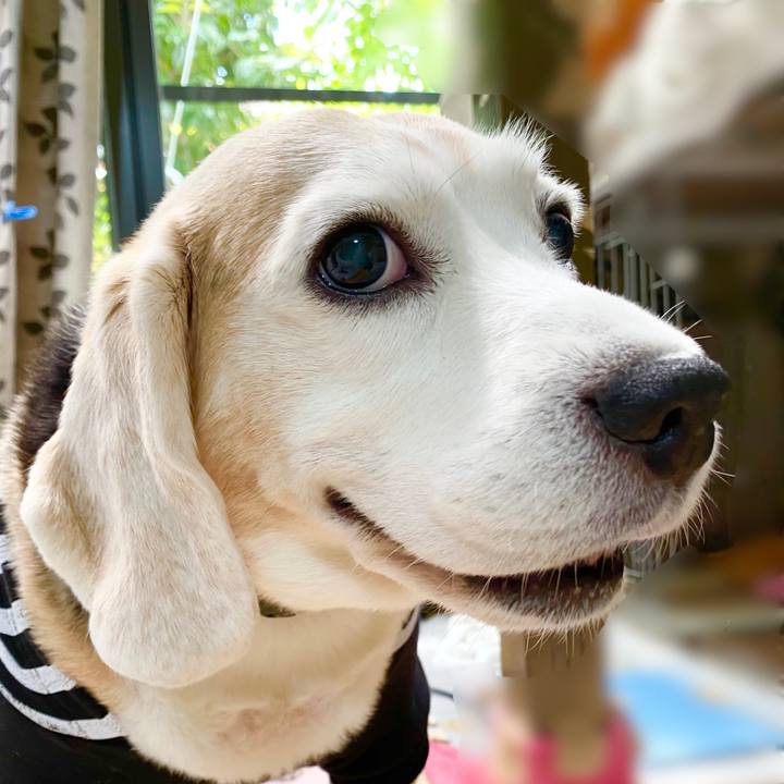 3d958b1a 937d 4e8c 8049 819bda8e2f98 1651462539299