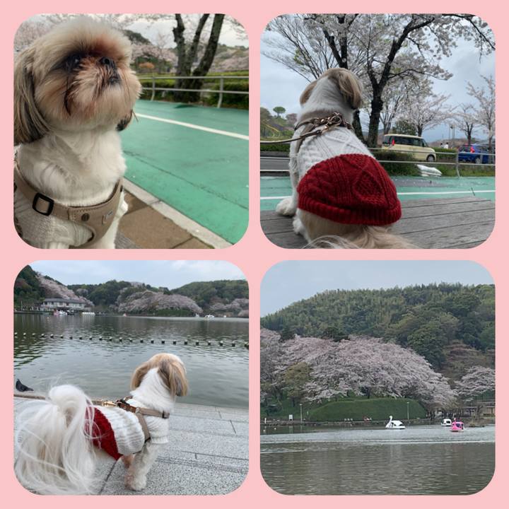 3d95b36f edc8 4ed5 a5e0 02236fb5e254 1616916497982